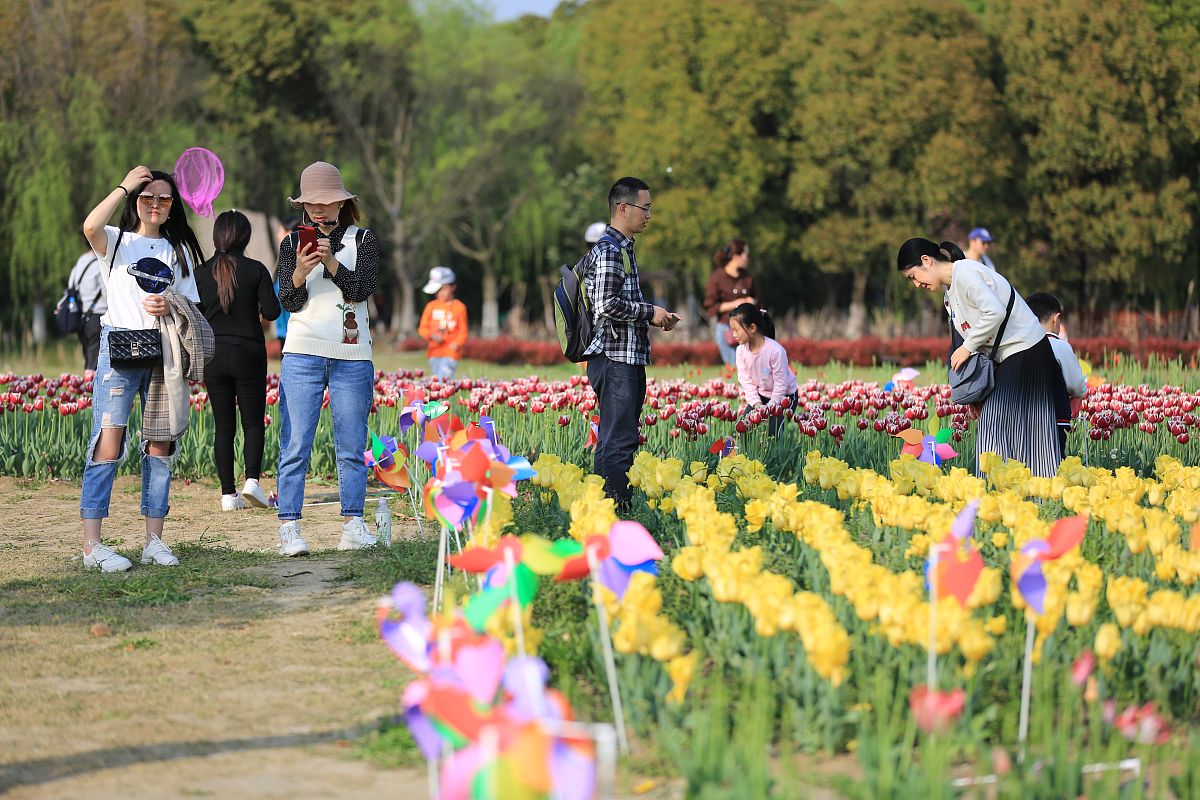 有趣的清明节商场踏青主题活动的公众号推文标题