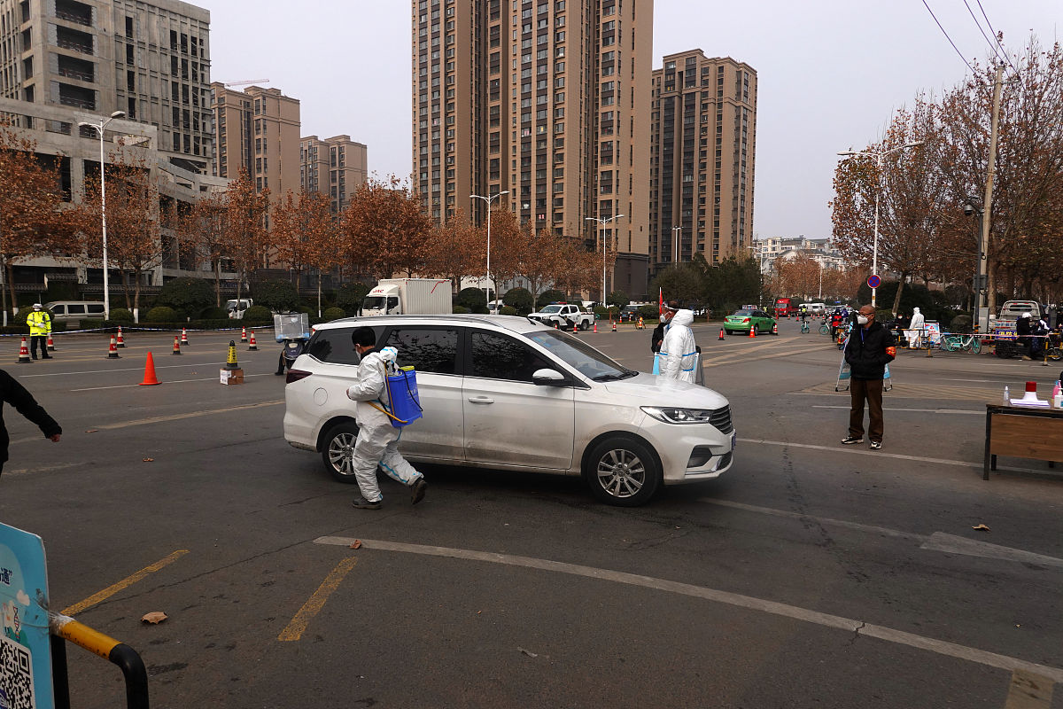 车字停路边的时候总是有大蚂蚁怎么回事 200字