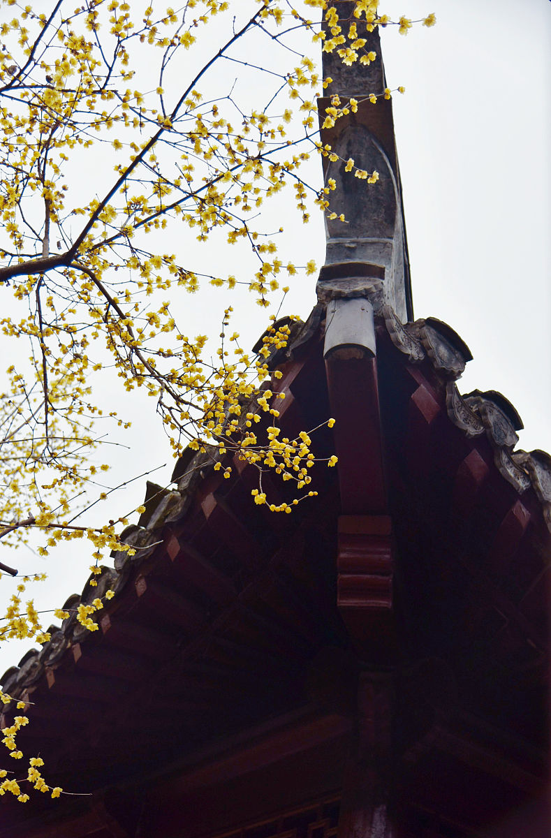 丽江师范高等专科学校五年制大专好不好？教学质量怎么样？