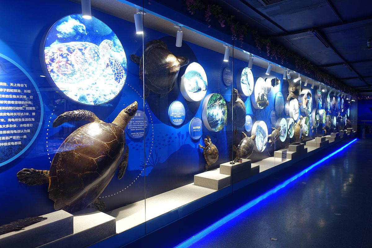 海洋艺术文化结合设计专业未来怎么发展