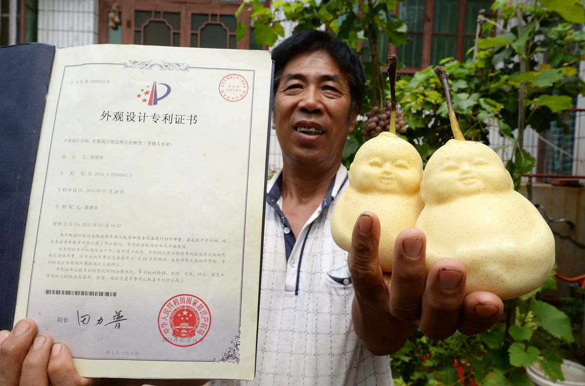 中国专利号后面的字母代表什么