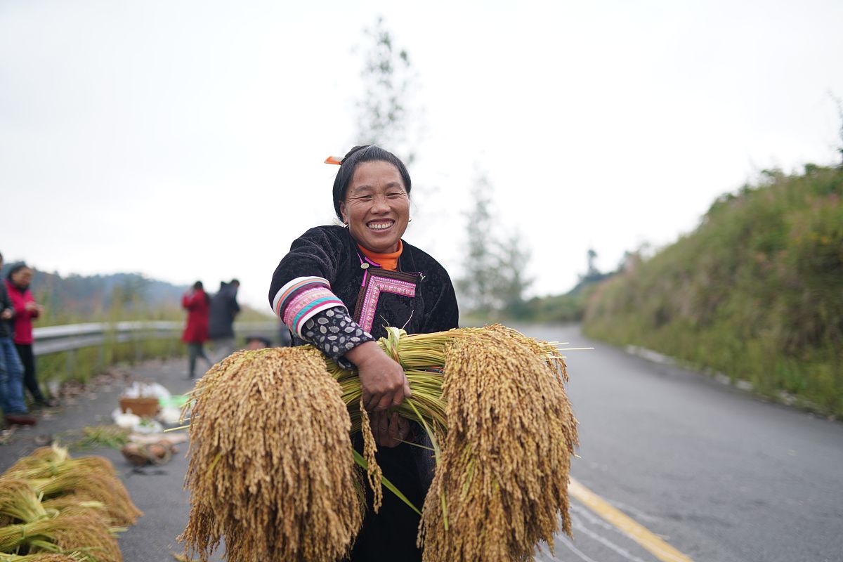 双江县职教中心2022年招生简章