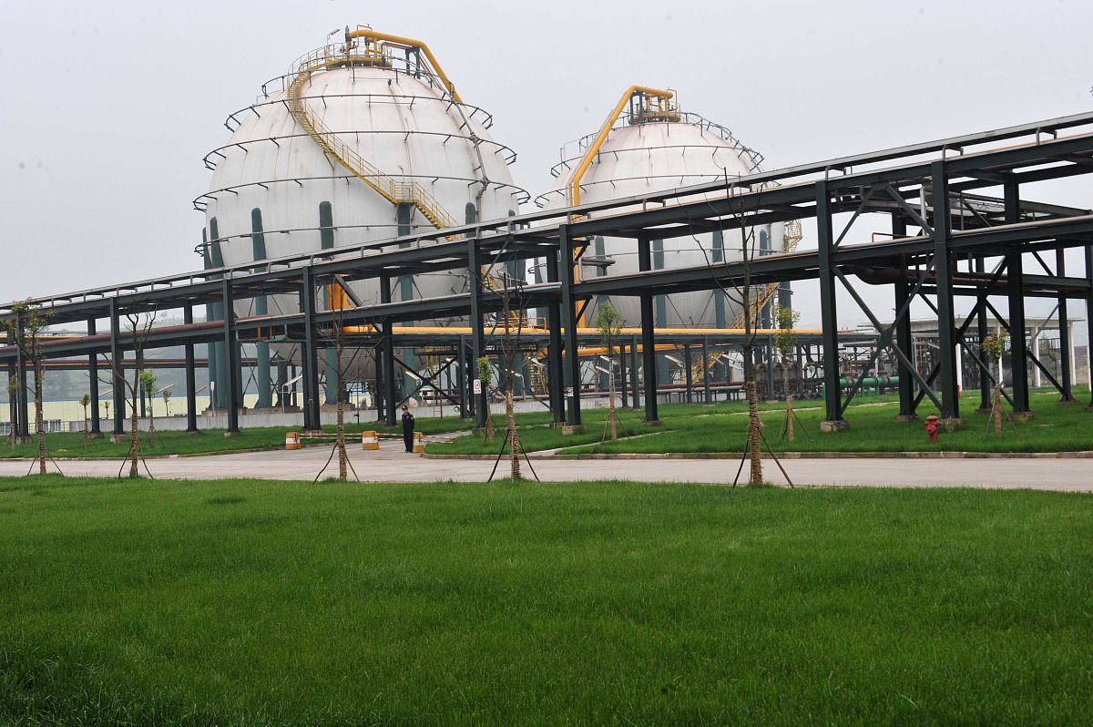 植物磷酸单酯酶活性：磷限制的指标