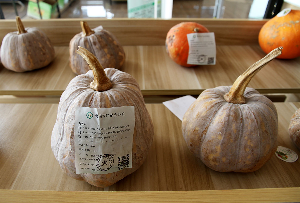 文县农职业技术学校2022年招生专业