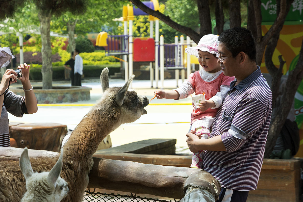 观察生活中的有趣现象
