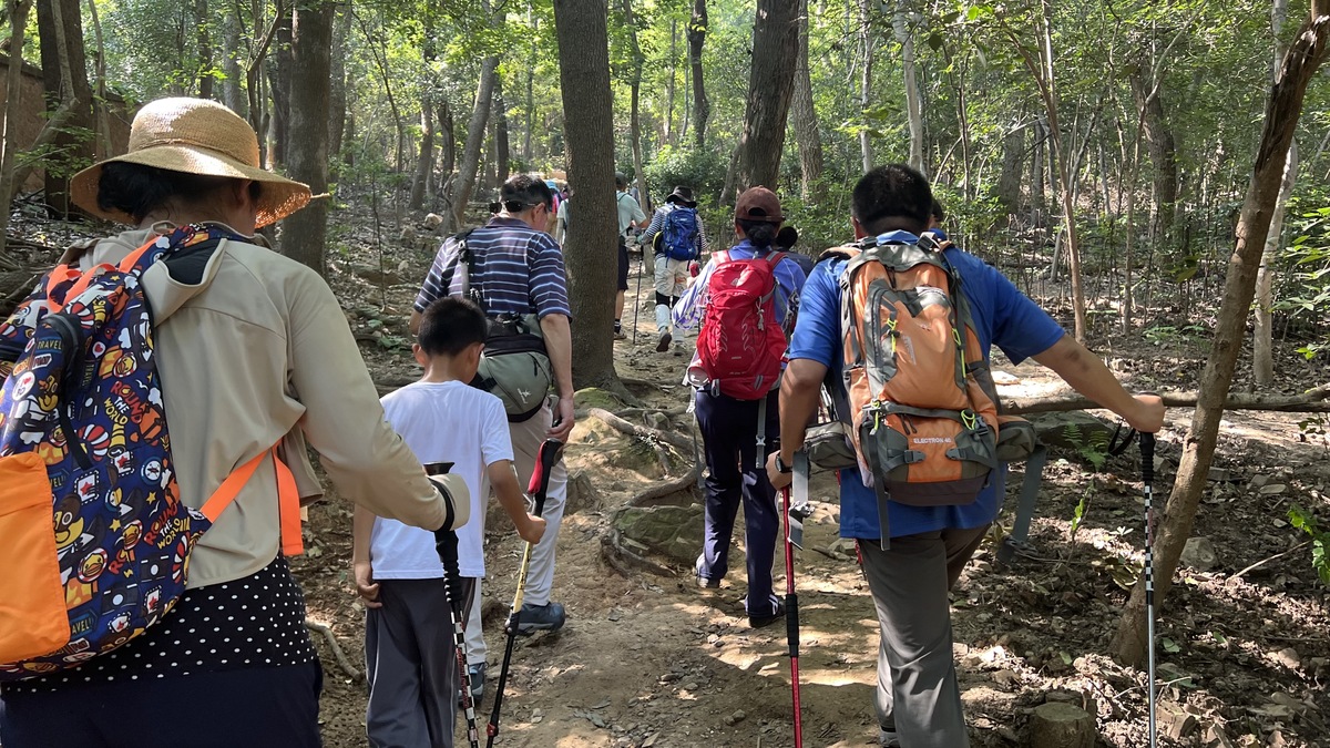 林雅之旅：探索自然与文化，寻找内心平静