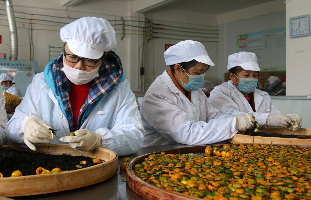 江西农业工程职业学院饲料与动物营养专业怎么样？好学吗？