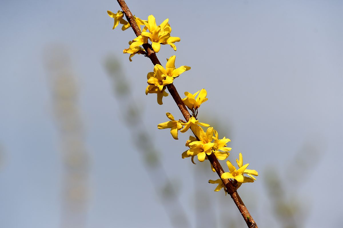 渭南男生读铁路学校学什么专业好？2021年热门铁路专业推荐