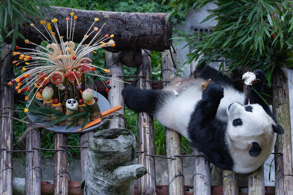 Discover Chengdu: A Vibrant City of Pandas, Culture, and Spice