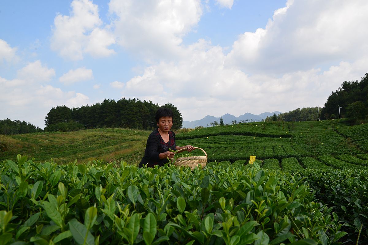 贵州省水利电力学校的校园环境