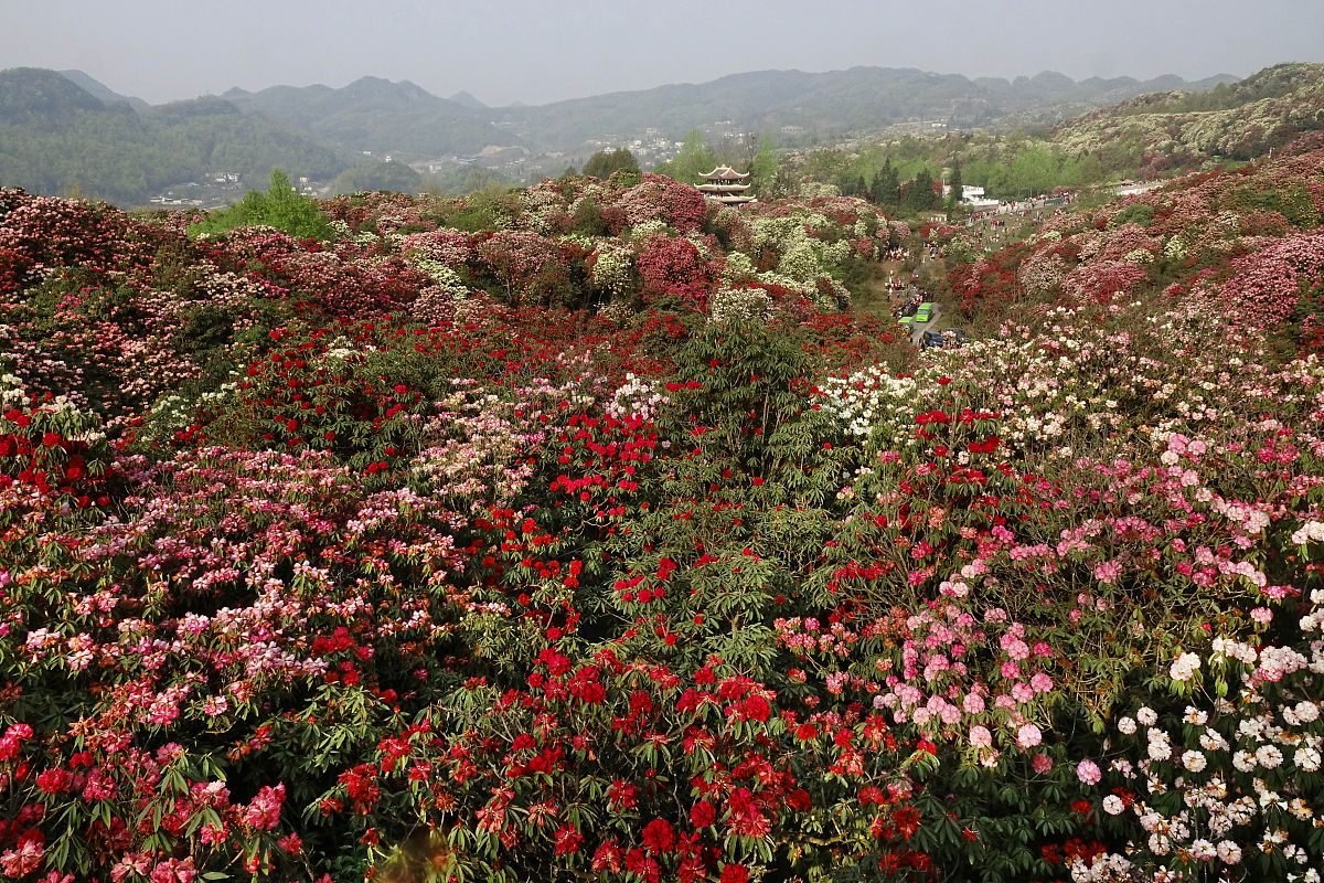 贵州2021哪所汽修学校比较好就业