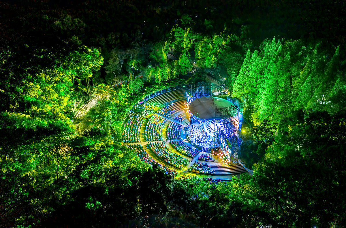 小云与森林交响乐：一场奇妙的音乐冒险