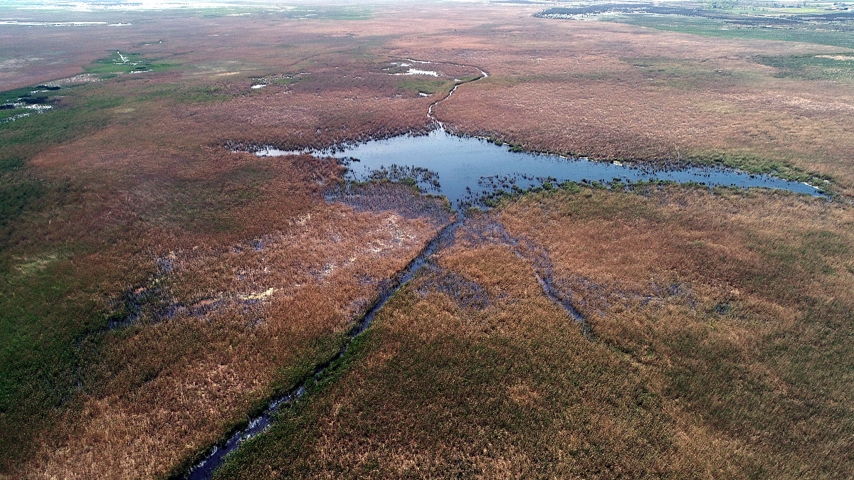 当地时间2020年5月6日,土耳其萨姆松,航拍土耳其克兹勒尔马克三角洲湿