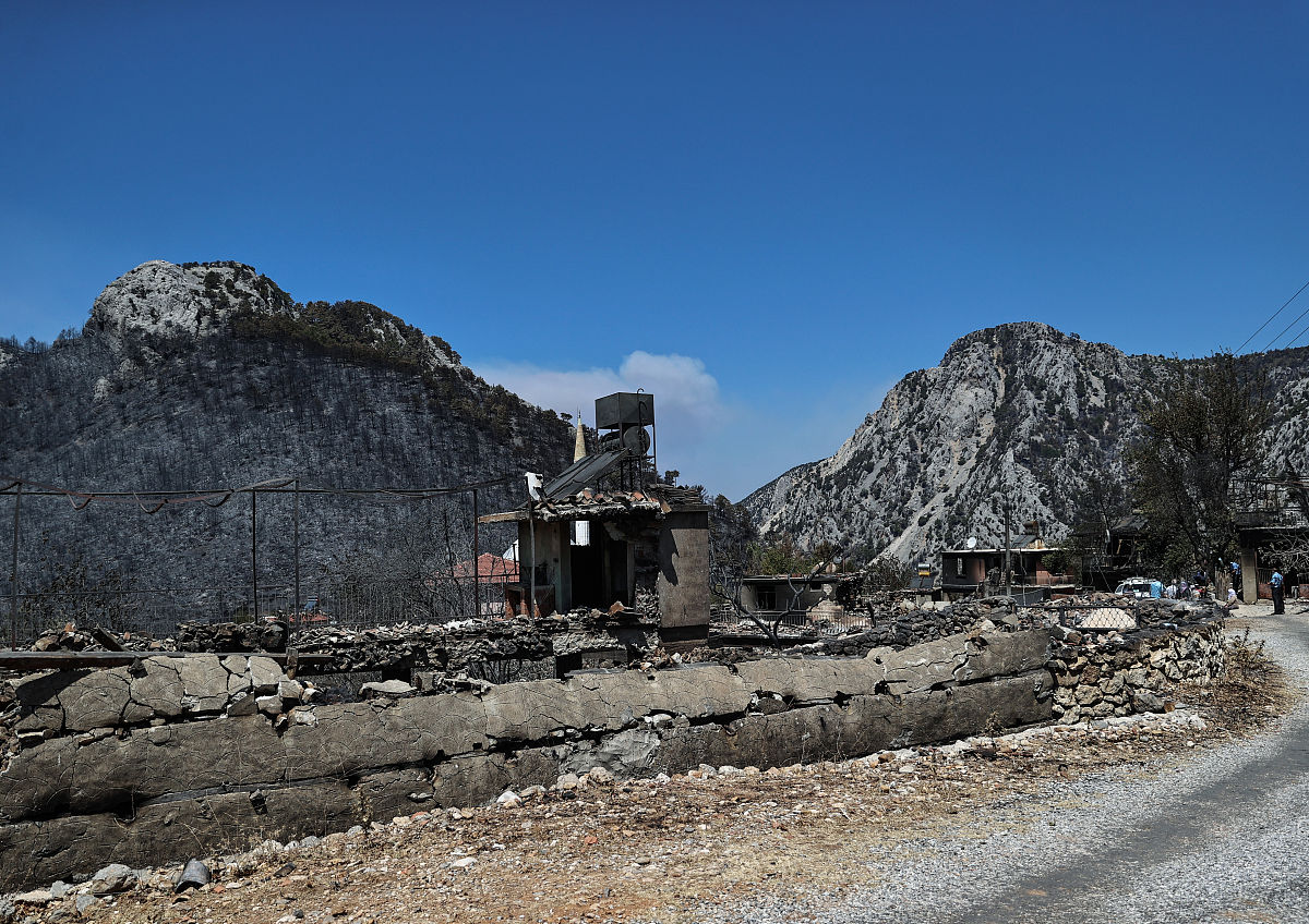东北农业大学生态学专业就业前景 - 未来发展方向与优势