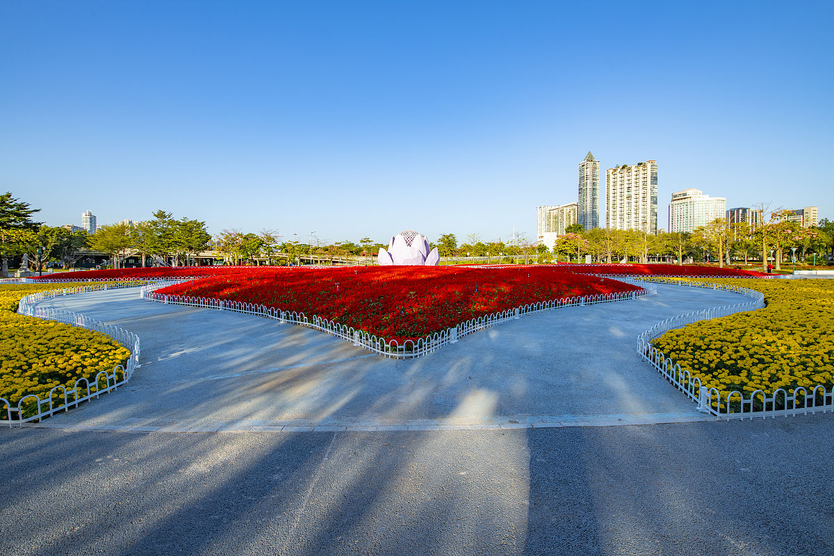 黑河颂歌：市树市花，文化交融，守卫边疆，共筑美好家园