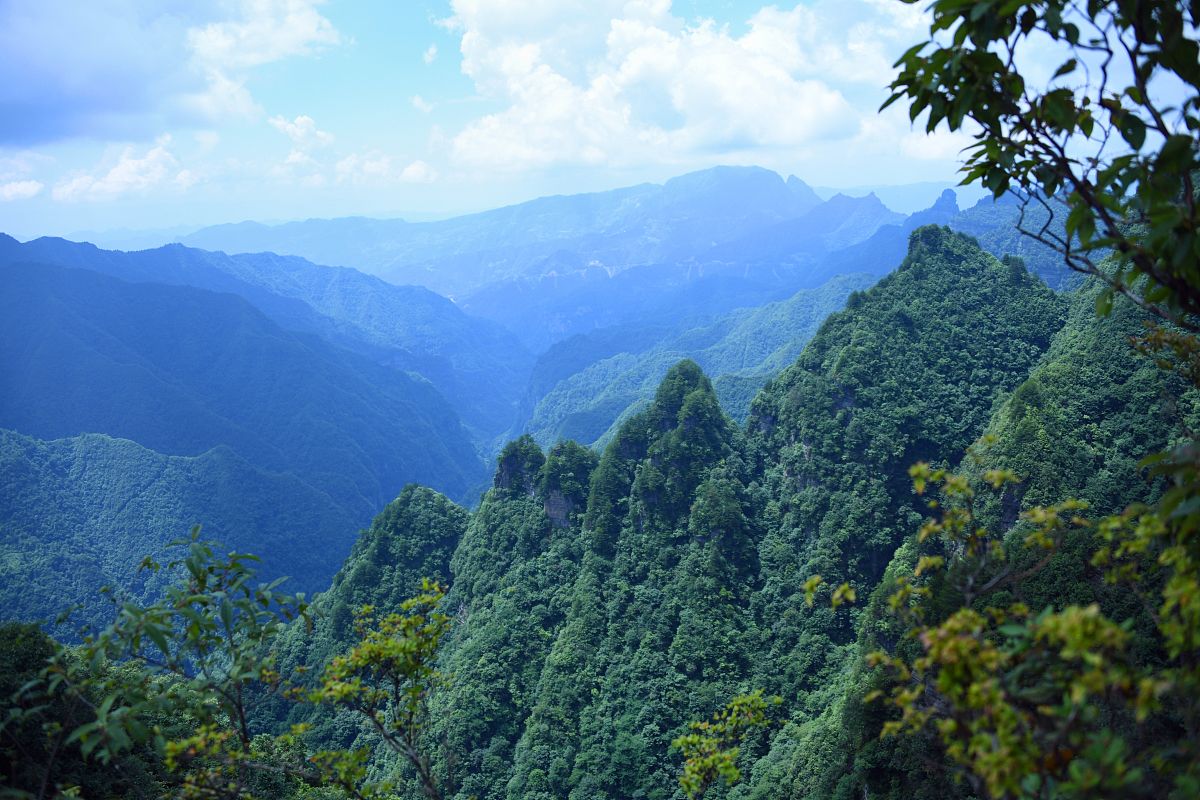 2023年恩施交通技工学校招生专业都有哪些-好不好