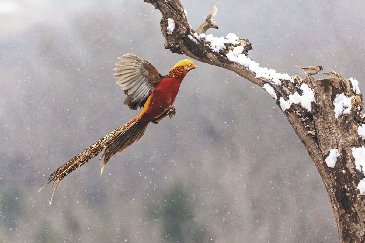 山西开设工商管理专业的中专中职学校有哪些