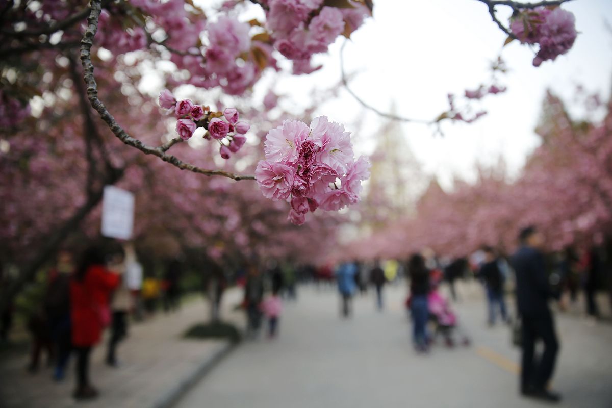 安徽兴鹏科技学校2023年新增专业介绍 - 智能制造、大数据等热门专业