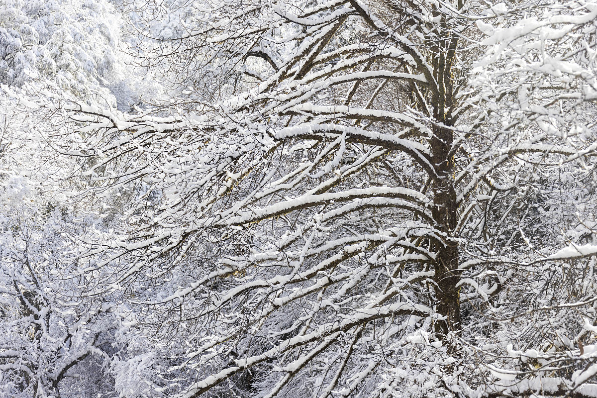 四川优秀中专学校推荐：2022年最新排名