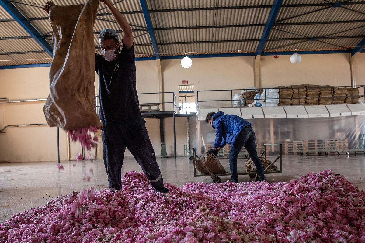 20世纪30年代至60年代末期间进行行政伦理与价值观关系等问题的哲学研究的学者是1A塞尔 Ws．Sayre B莱维坦D．W Levitan C沃尔多DWaldo D利斯WA．Leys