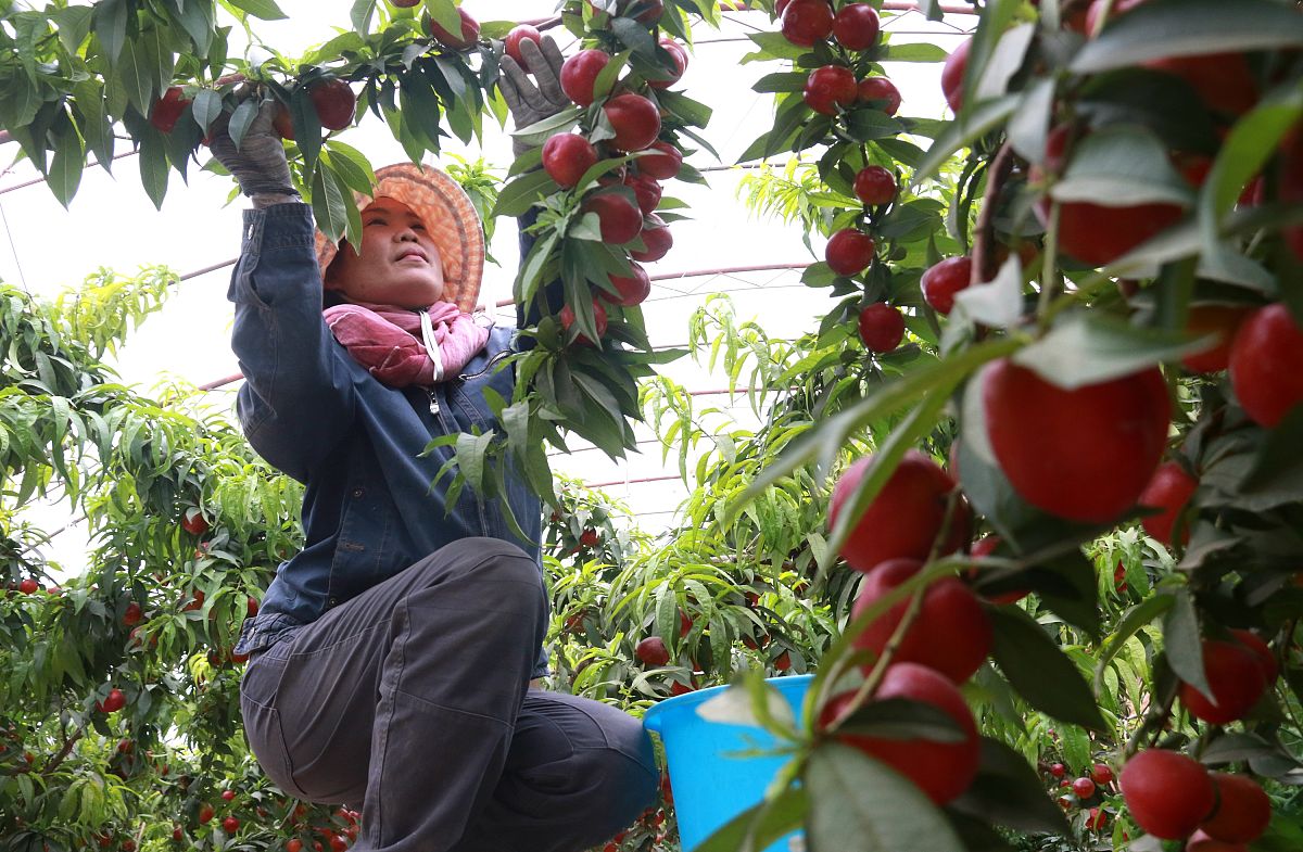 酒泉遇到困境？寻找求助渠道，守护您的权益！