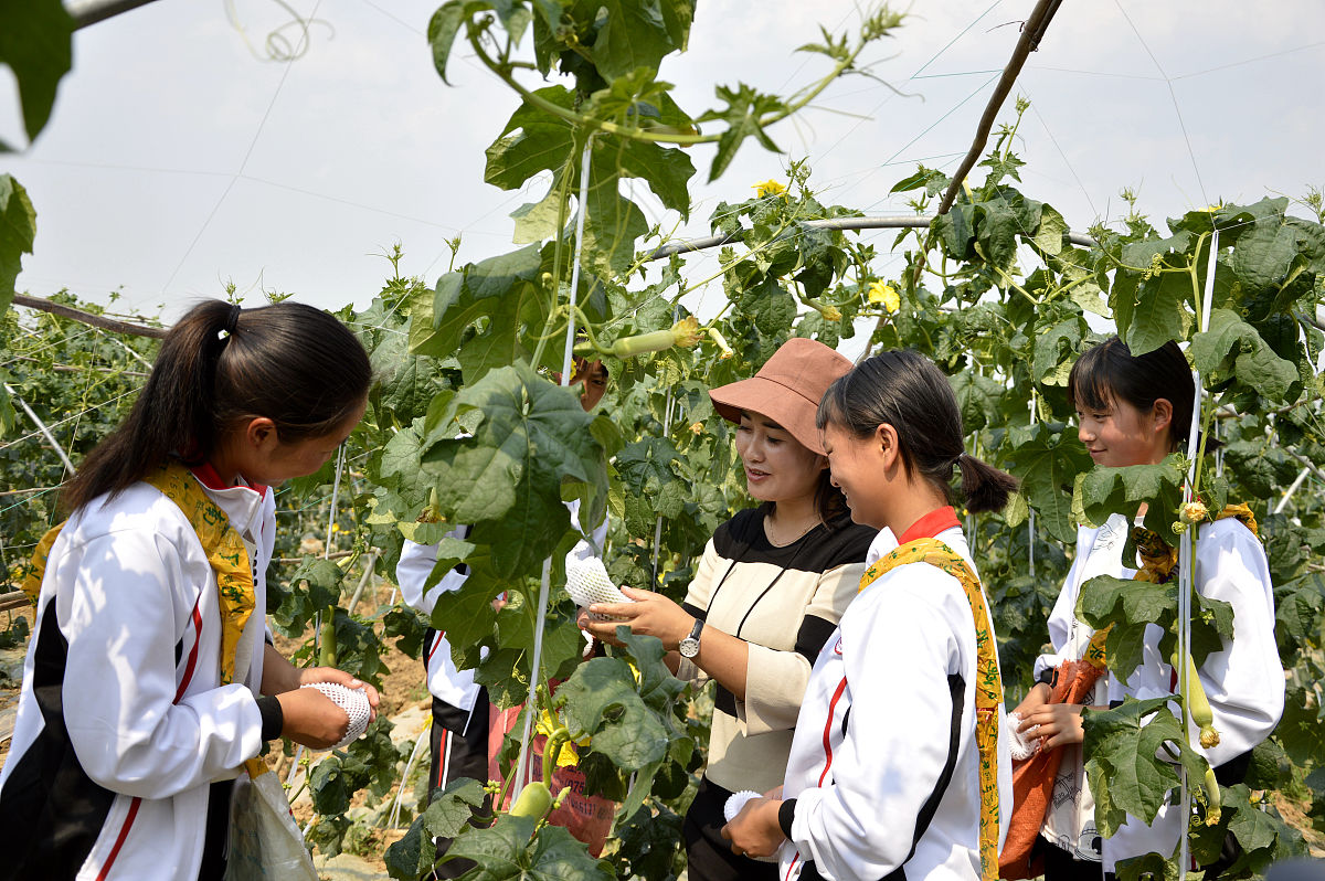 2022年广东省理工职业技术学校招生指南及常见问题解答