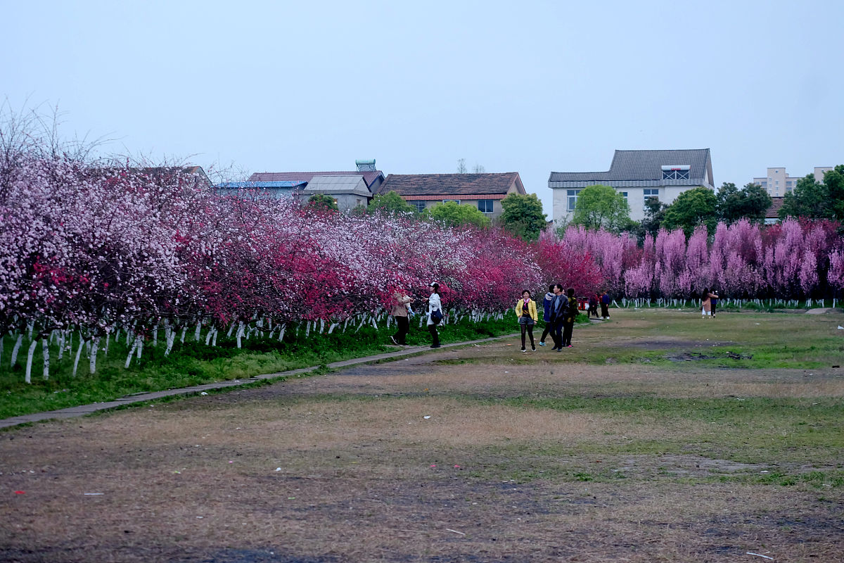 湖南工艺美术职业学院工业设计专业怎么样？优势与不足解析