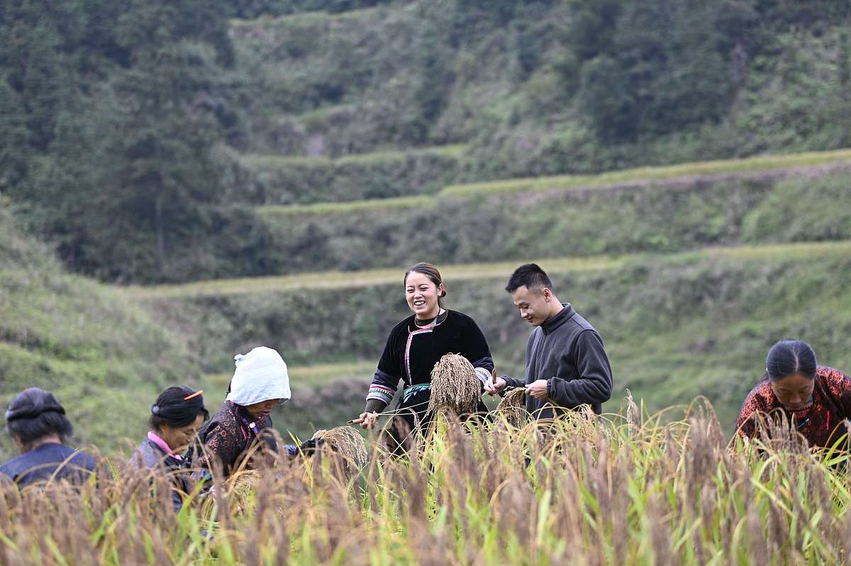 《出山记》观后感：脱贫攻坚的真实写照