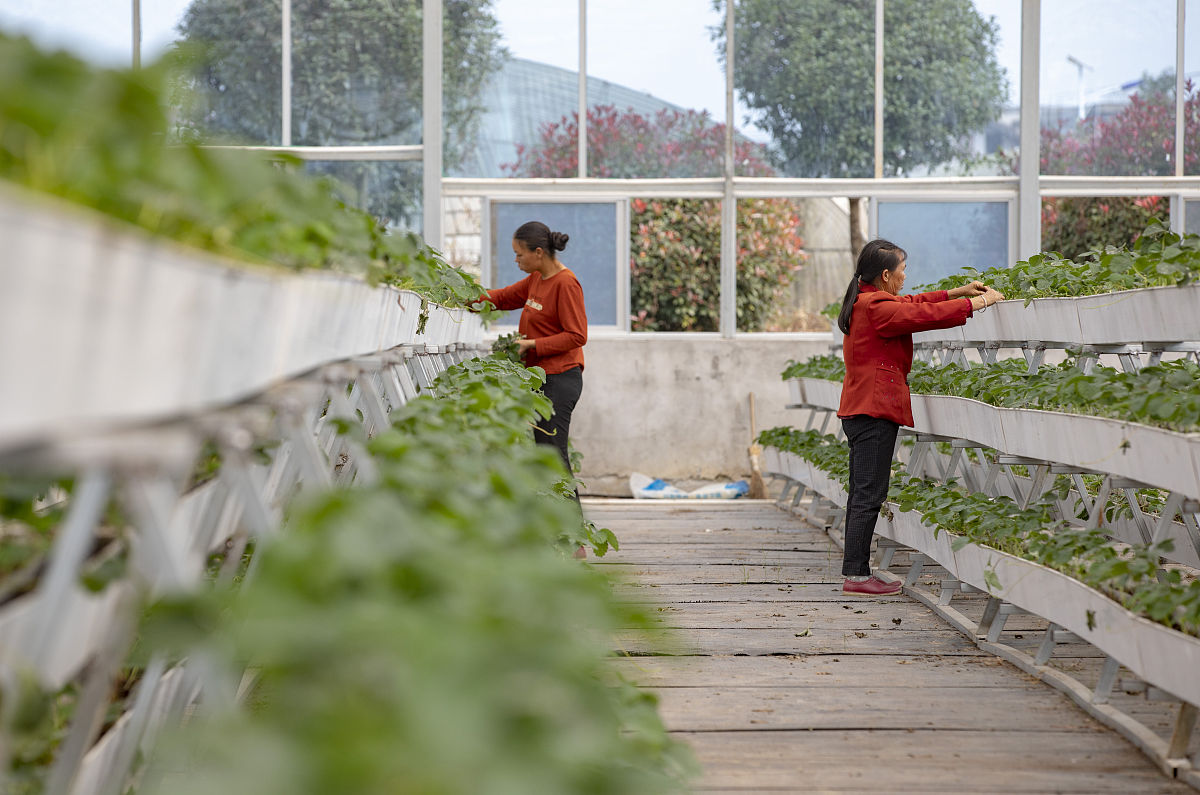 毕节市农业学校2019年招生简章