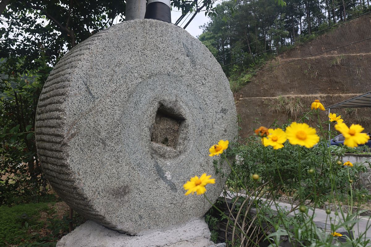 2021年5月10日,湖北省宜昌市夷陵区太平溪镇一农家乐园内,店主用石磨,