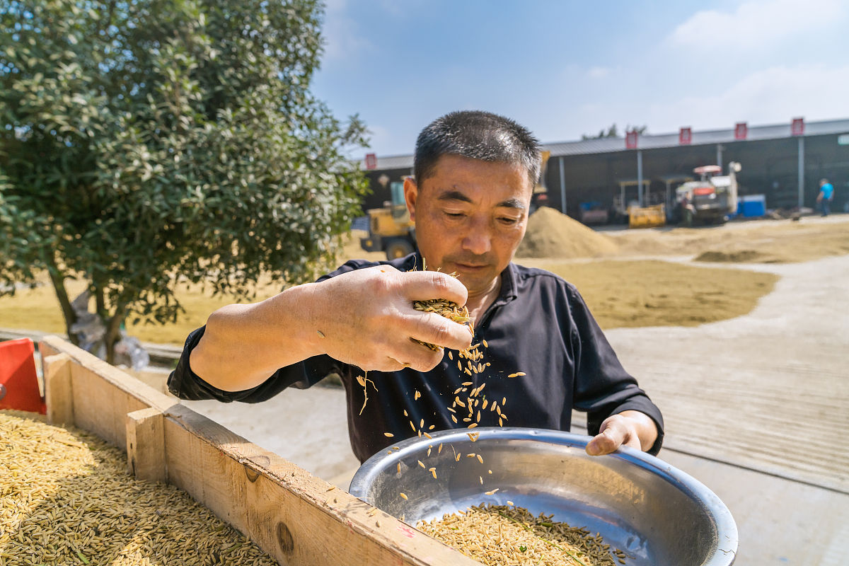 四川中专学校哪个专业比较好？就业前景分析