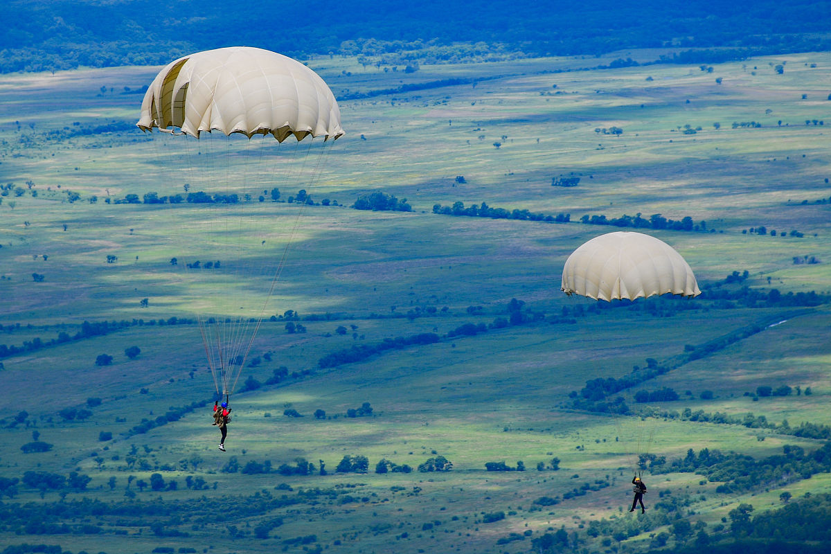 开封市志愿者协会组织架构详解