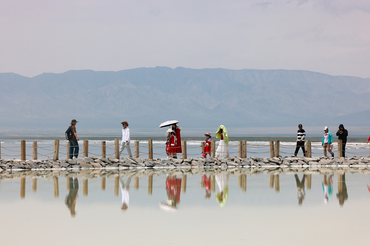 青海湖一日游攻略：心灵与大自然共鸣