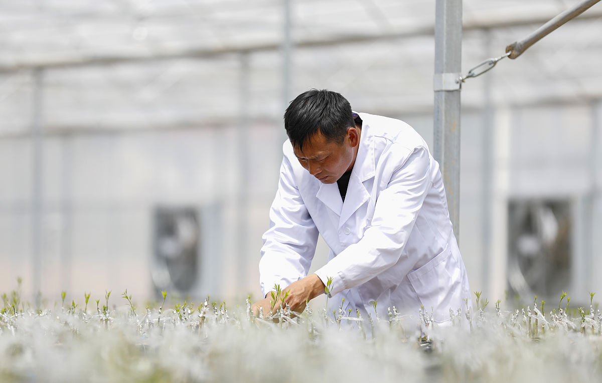 2023年南充川读卫校学费多少钱？附:南充卫校收费标准！