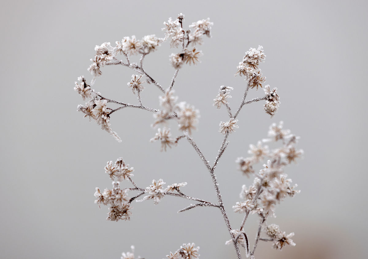 邢台2022年卫校好还是职高好-好麽