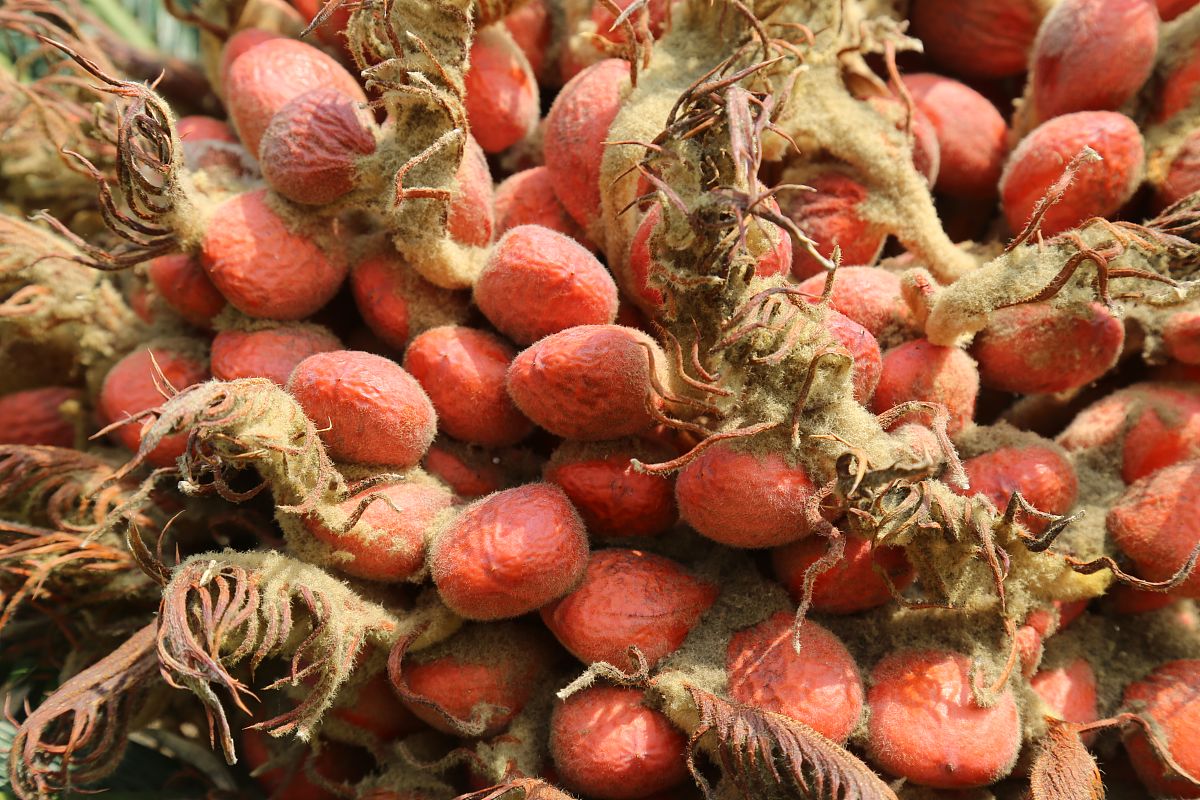 重庆市云阳职业教育中心服装设计与工艺专业怎么样