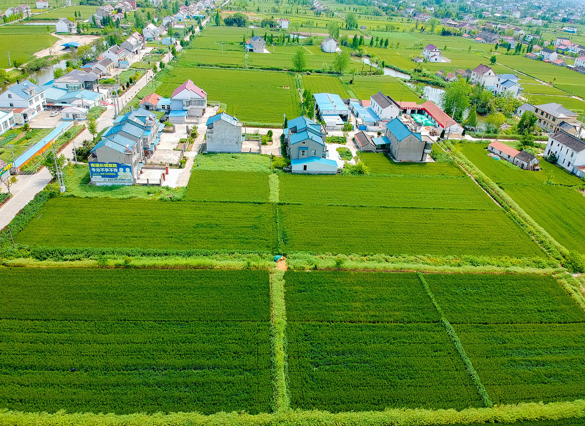 乡村振兴战略：10个关键议题解析