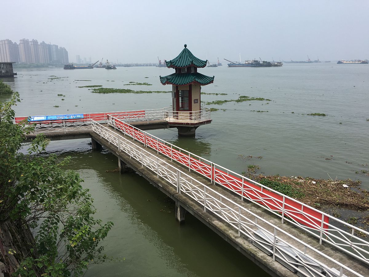 2020年7月30日,湖南岳阳,当日5时,长江水利委员会水文局城陵矶(七里山