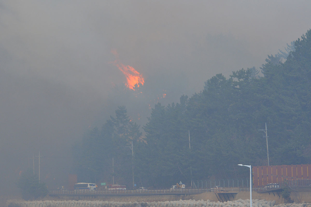 东北农业大学乳品工程专业就业方向:未来发展无限可能 东北农业大学乳品工程专业就业方向:未来发展无限可能