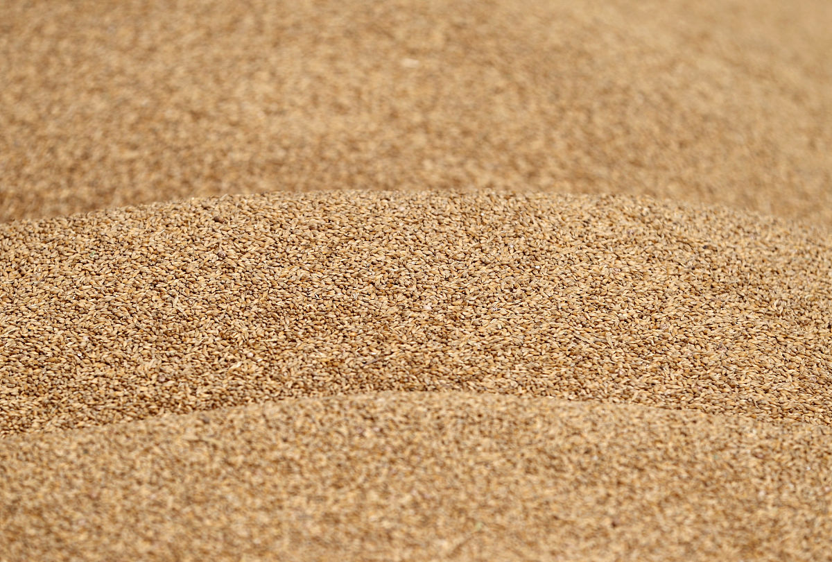 黑龙江粮食职业学院食品机械与管理专业怎么样？未来发展前景分析