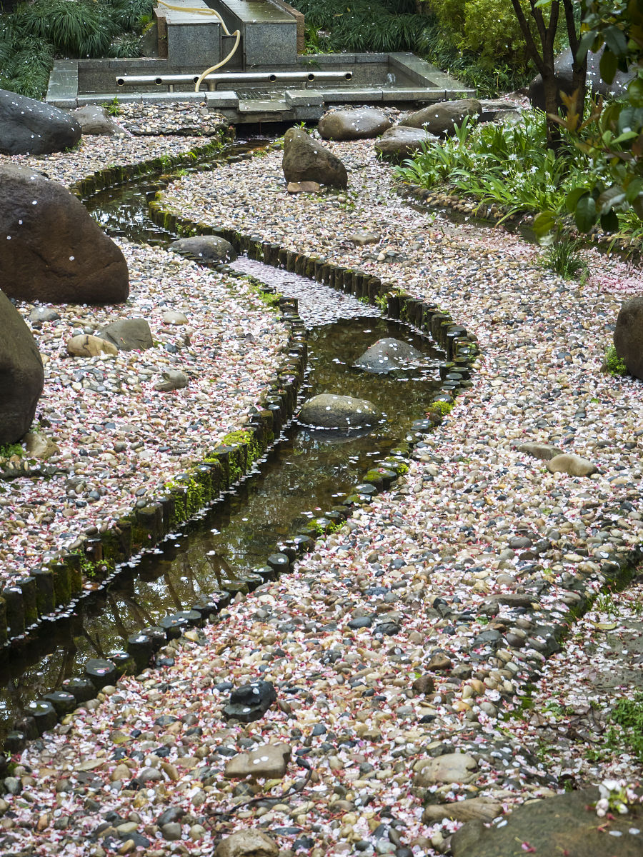 当A1单元格中含有A或者B时并把结果显示在B1