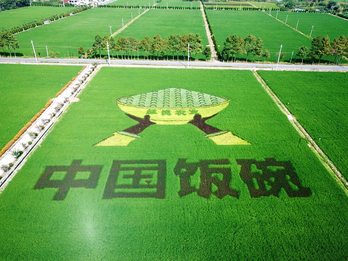 绿色蟹稻米的服务客户是