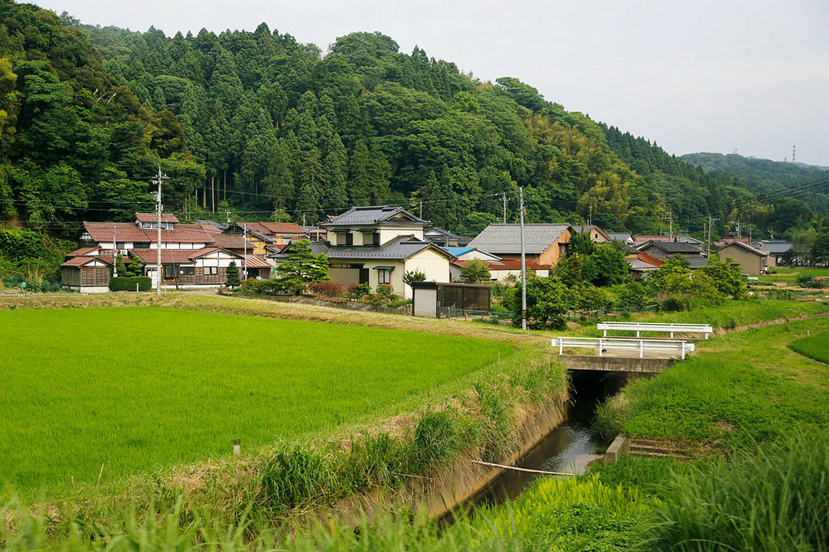 2023年云南省曲靖农业学校三校生招生简章 - 报名条件、流程及录取标准
