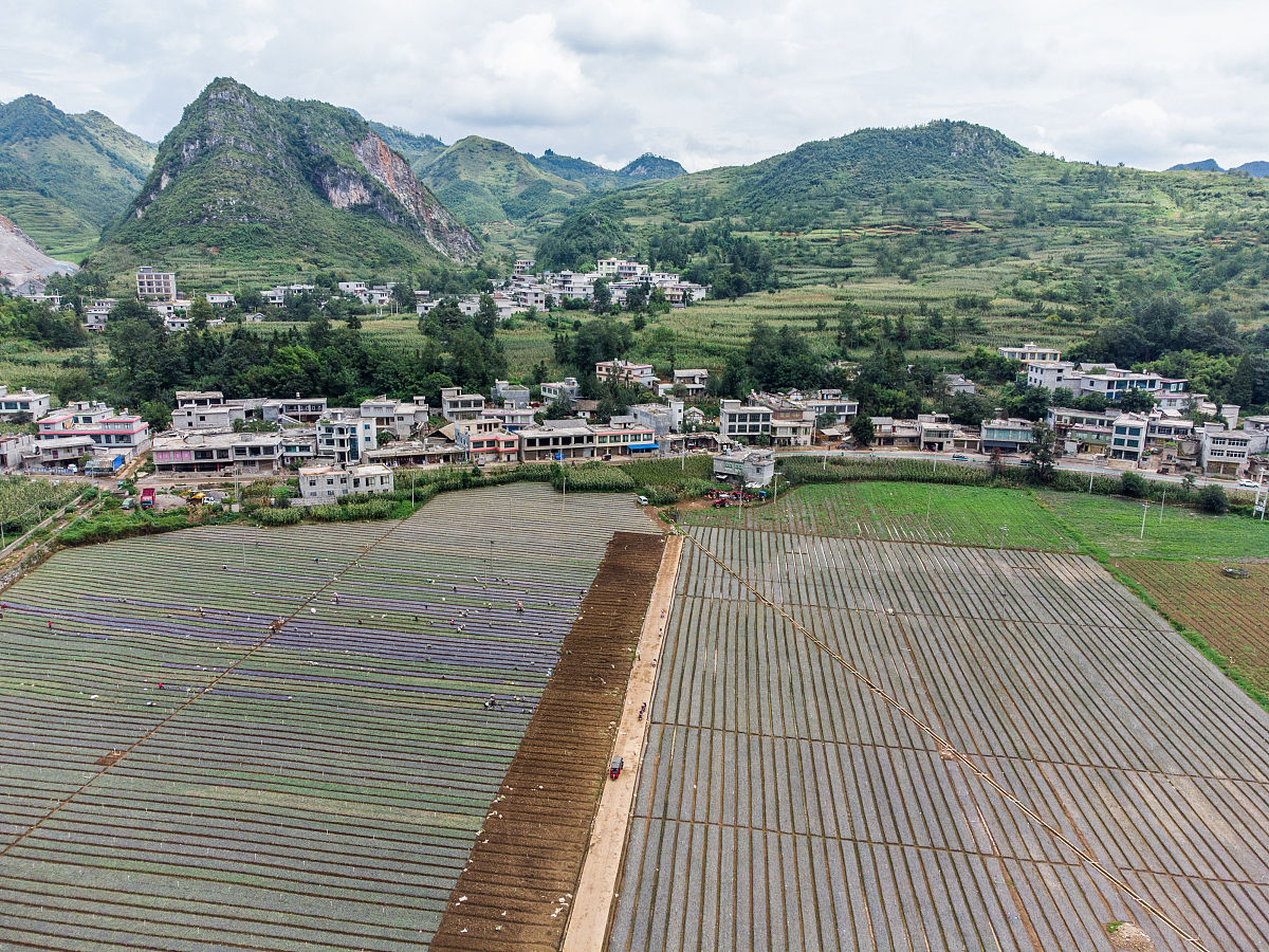 学习心得贵州六盘水市三变改革带来农村大变样2000字