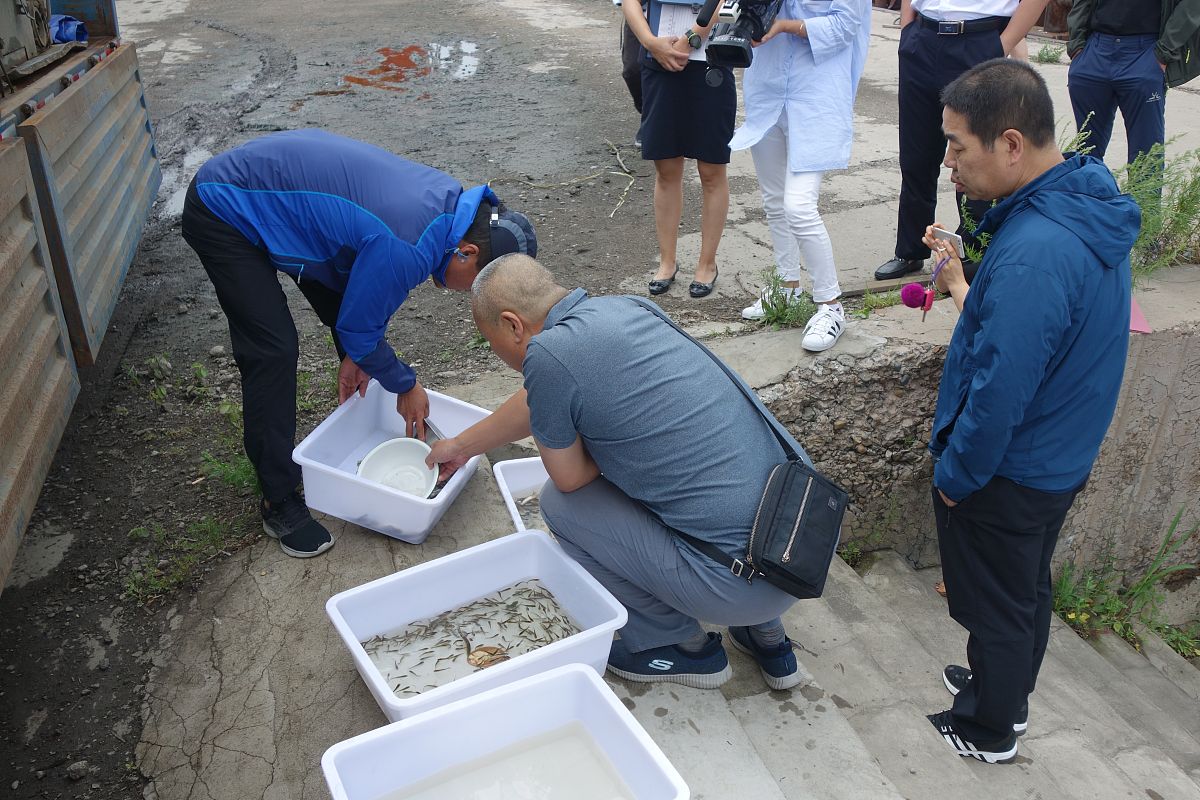 做了一个口虾姑栖息装置的研发写一个项目概述。可拆分为产品描述、用户群体、项目愿景、竞争对手等方面详细描述。背景是近年来口虾姑由于多方面原因资源衰退严重急需增殖以恢复其资源。核心是本项目旨在提高口虾蛄的栖息密度增加口虾蛄栖息空间的装置应用于口虾蛄养殖以及繁育用亲体的暂养过程中。并可将最终成果要时可举办相关主题展览邀请有关专业人士对作品价值及市场前景进行综合评估。