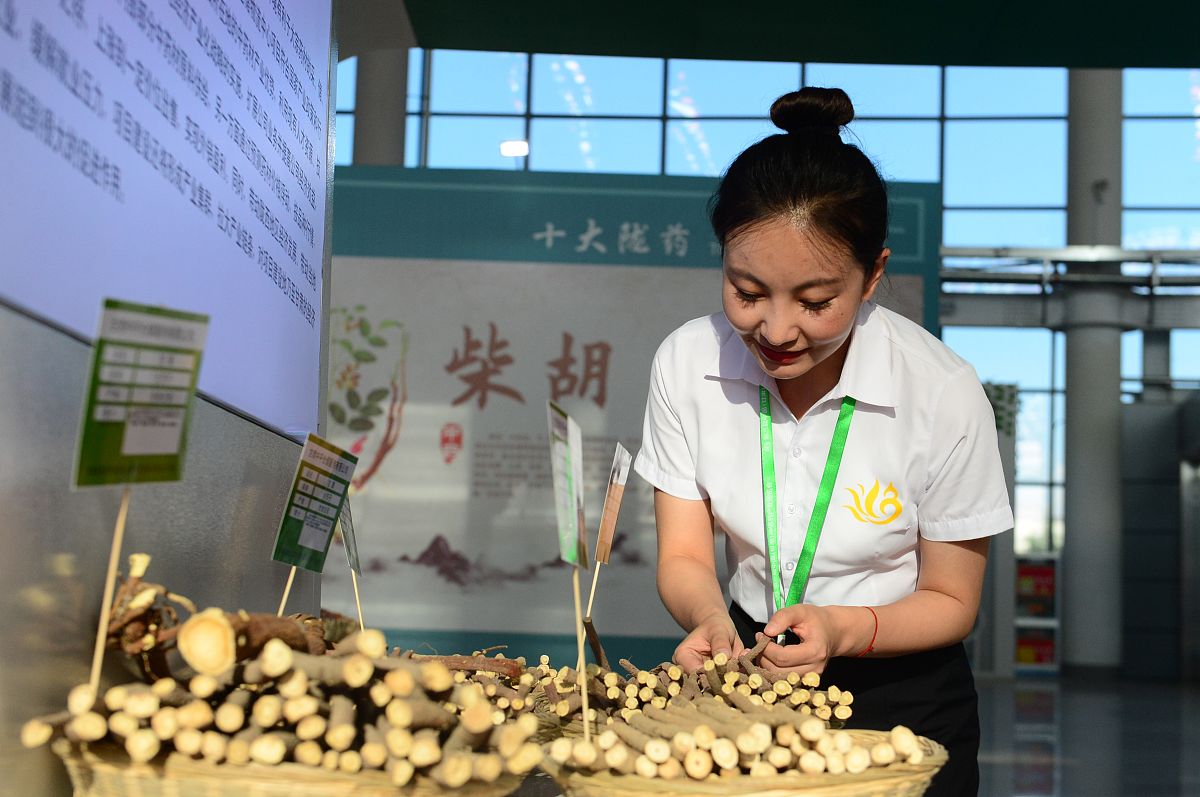 贵州中医骨伤专业就业前景分析：机遇与挑战并存