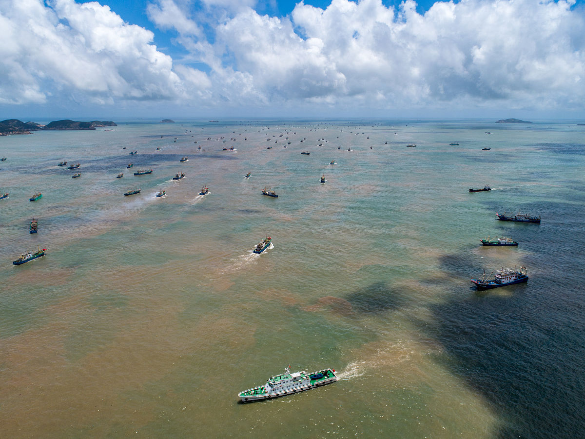 2020年8月1日,浙江台州,温岭钓浜渔港内的数百艘渔船开足马力驶向东海
