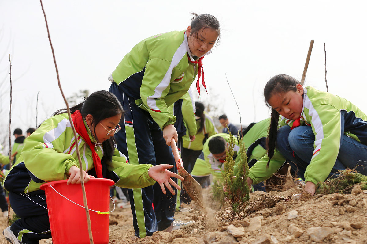 劳动教育体会：培养勤劳、合作、动手能力和节约意识