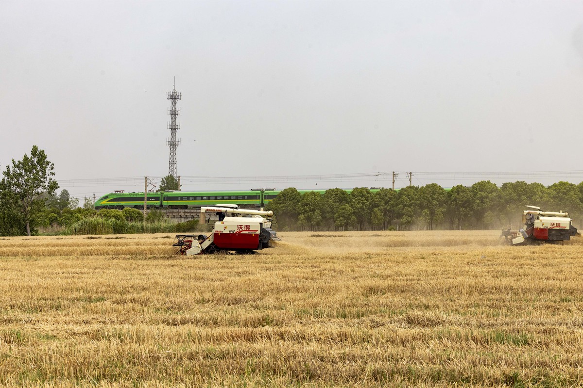 镇项目如何发挥联农带农机制：提升农业效益，助力农民增收