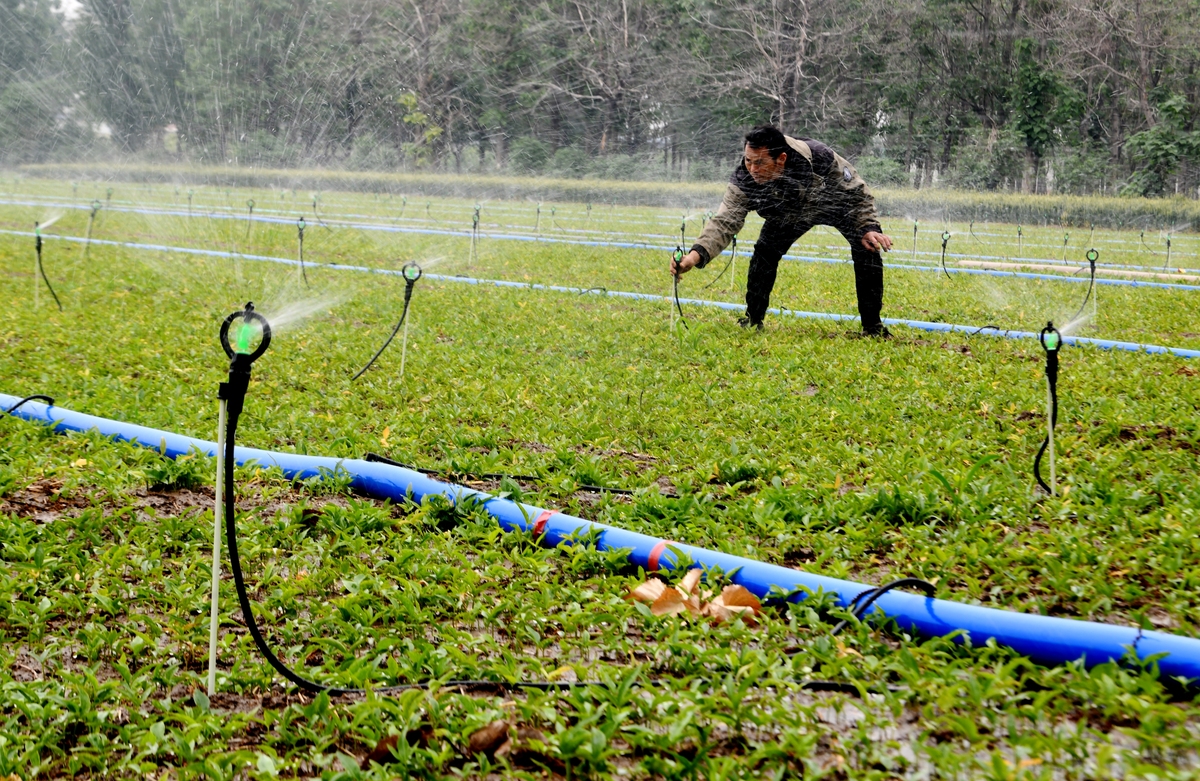 喷头安装距离：确保最佳浇灌效果的300毫米法则